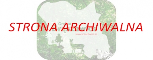 strona archiwalna