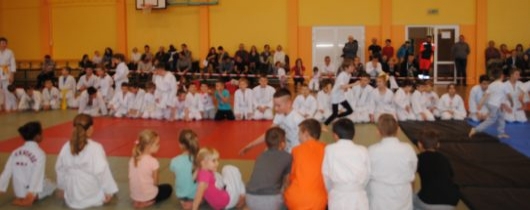 judo