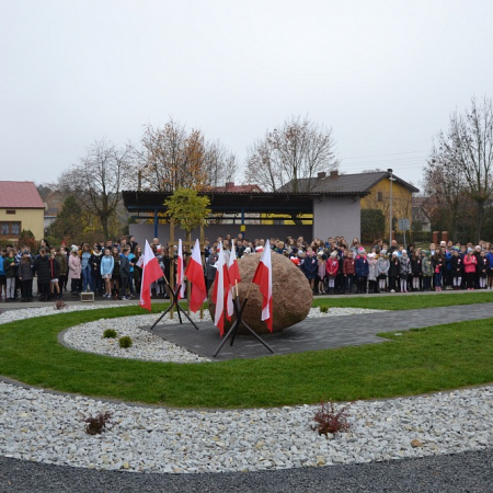 Wyświetl org. rozmiar