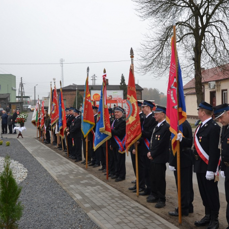 Wyświetl org. rozmiar