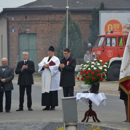 Wyświetl org. rozmiar