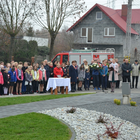 Wyświetl org. rozmiar