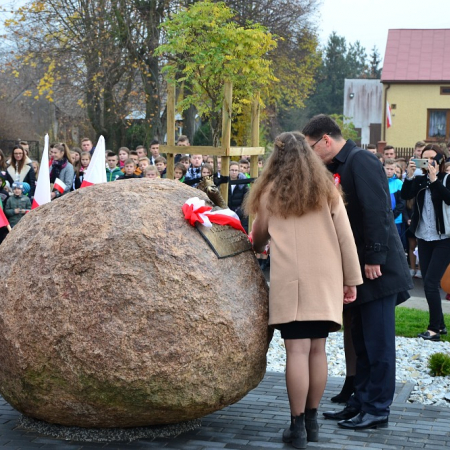 Wyświetl org. rozmiar