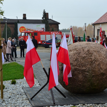 Wyświetl org. rozmiar