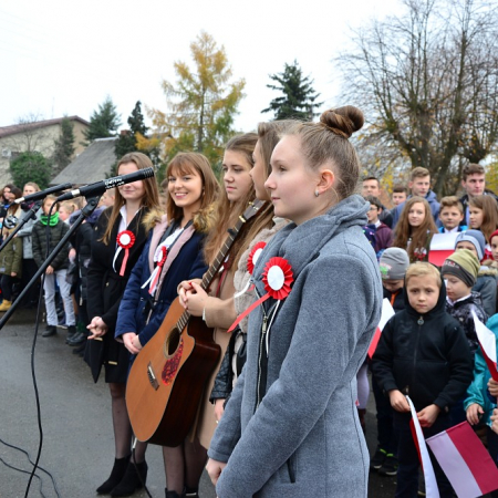 Wyświetl org. rozmiar