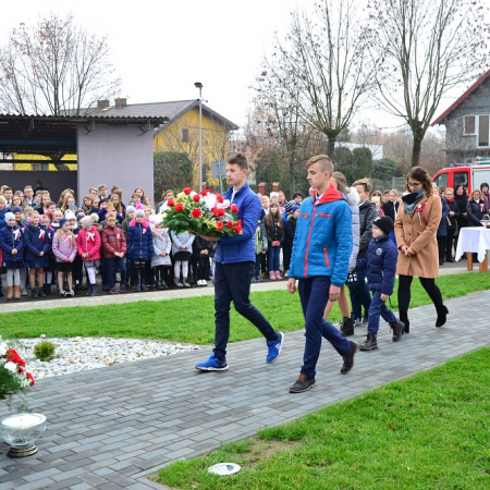 Wyświetl org. rozmiar