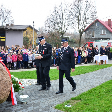 Wyświetl org. rozmiar