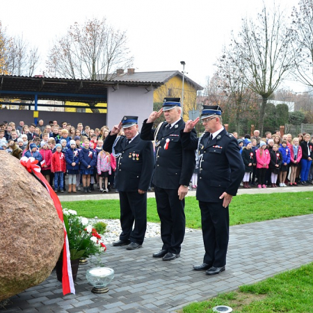 Wyświetl org. rozmiar