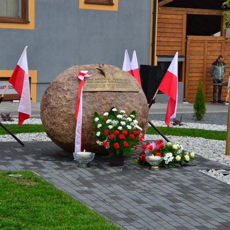 Wyświetl org. rozmiar