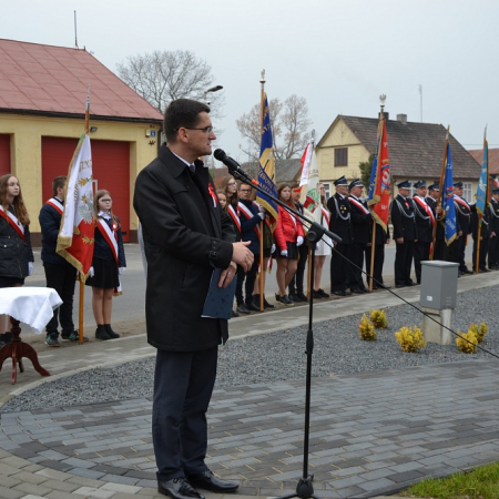 Wyświetl org. rozmiar