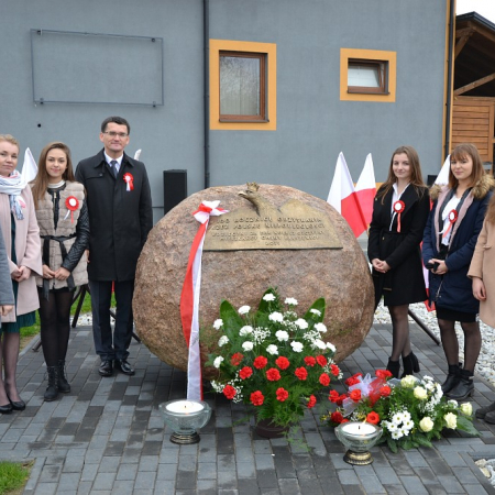 Wyświetl org. rozmiar