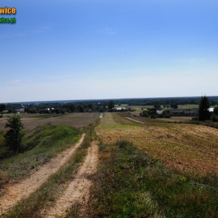 Wyświetl org. rozmiar