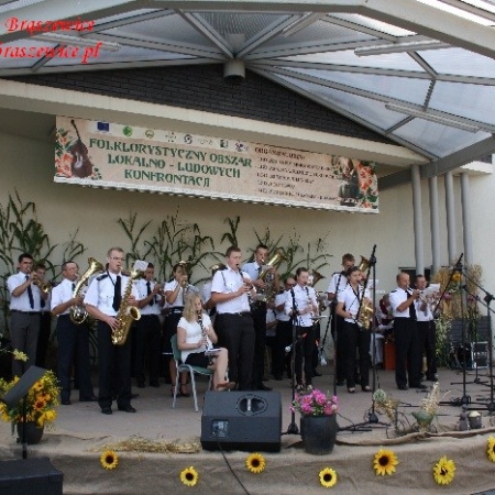 Wyświetl org. rozmiar