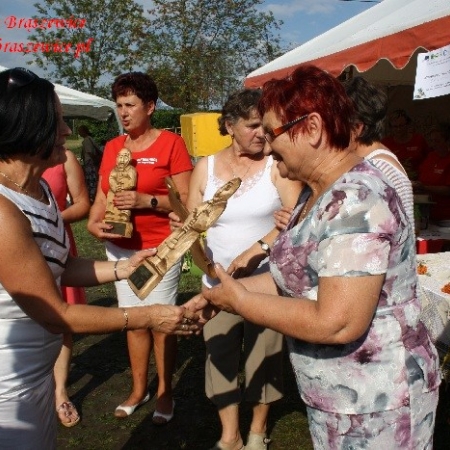 Wyświetl org. rozmiar