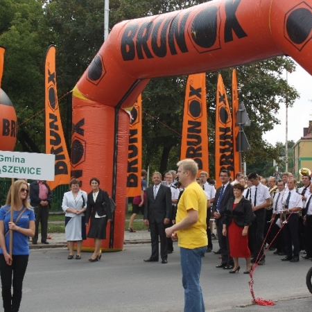 Wyświetl org. rozmiar