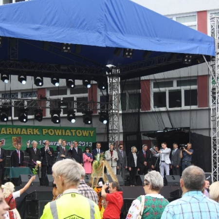 Wyświetl org. rozmiar