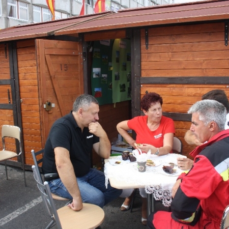 Wyświetl org. rozmiar