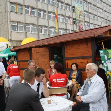 Wyświetl org. rozmiar