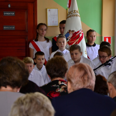 Wyświetl org. rozmiar