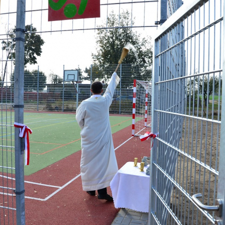 Wyświetl org. rozmiar