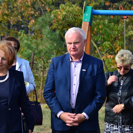 Wyświetl org. rozmiar