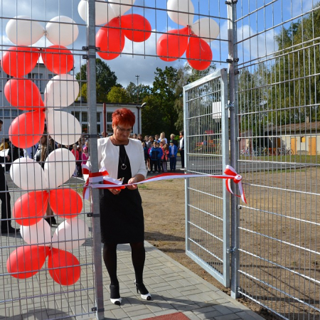 Wyświetl org. rozmiar