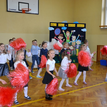 Wyświetl org. rozmiar