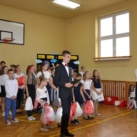 Wyświetl org. rozmiar