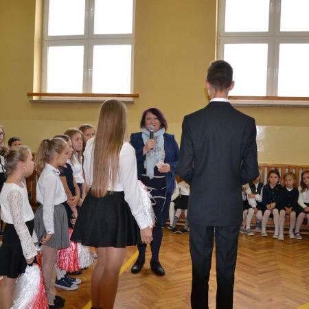 Wyświetl org. rozmiar