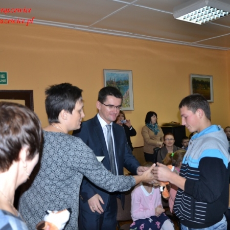 Wyświetl org. rozmiar