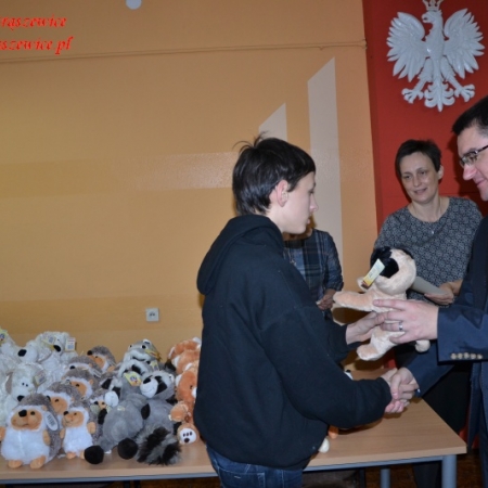 Wyświetl org. rozmiar