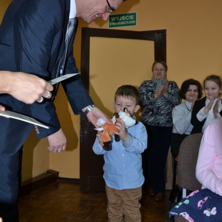 Wyświetl org. rozmiar