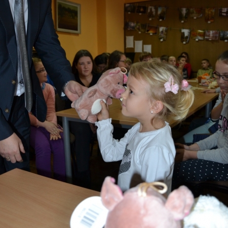 Wyświetl org. rozmiar