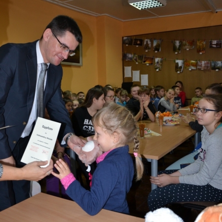 Wyświetl org. rozmiar