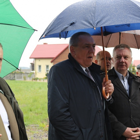 Wyświetl org. rozmiar