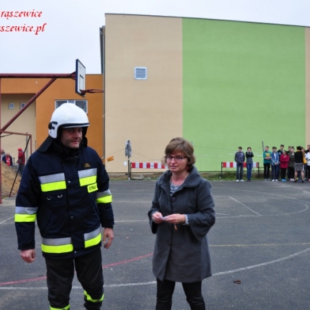 Wyświetl org. rozmiar