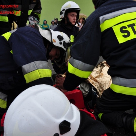 Wyświetl org. rozmiar