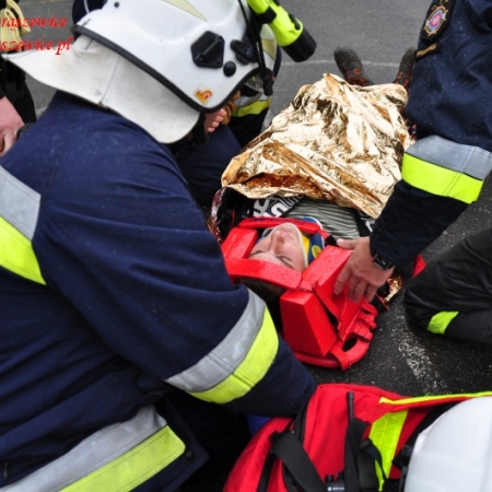 Wyświetl org. rozmiar