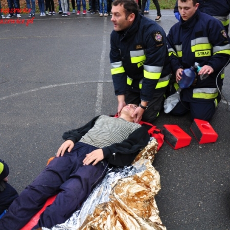 Wyświetl org. rozmiar