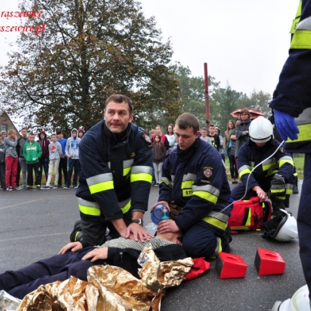 Wyświetl org. rozmiar