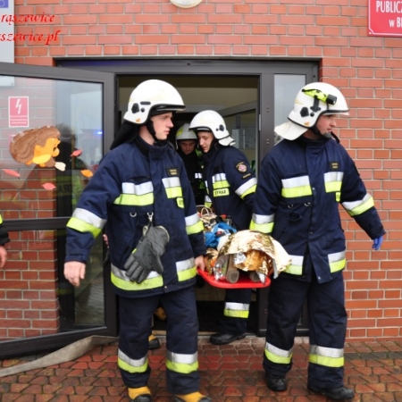 Wyświetl org. rozmiar