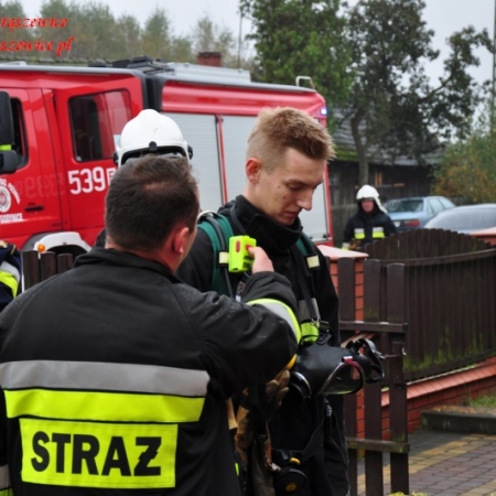 Wyświetl org. rozmiar