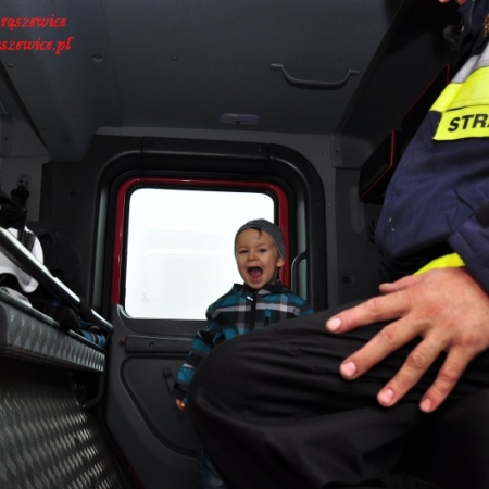 Wyświetl org. rozmiar