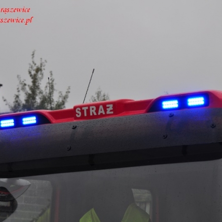 Wyświetl org. rozmiar