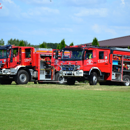 Wyświetl org. rozmiar