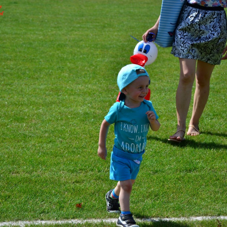 Wyświetl org. rozmiar