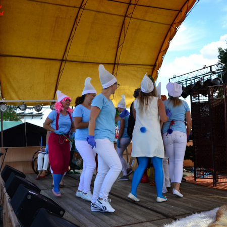 Wyświetl org. rozmiar