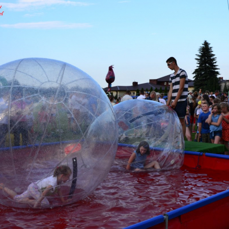 Wyświetl org. rozmiar