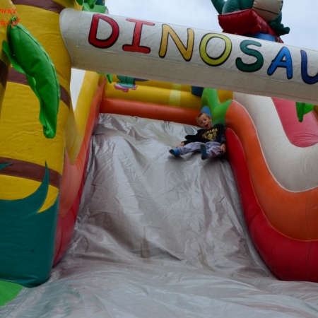 Wyświetl org. rozmiar