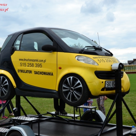 Wyświetl org. rozmiar